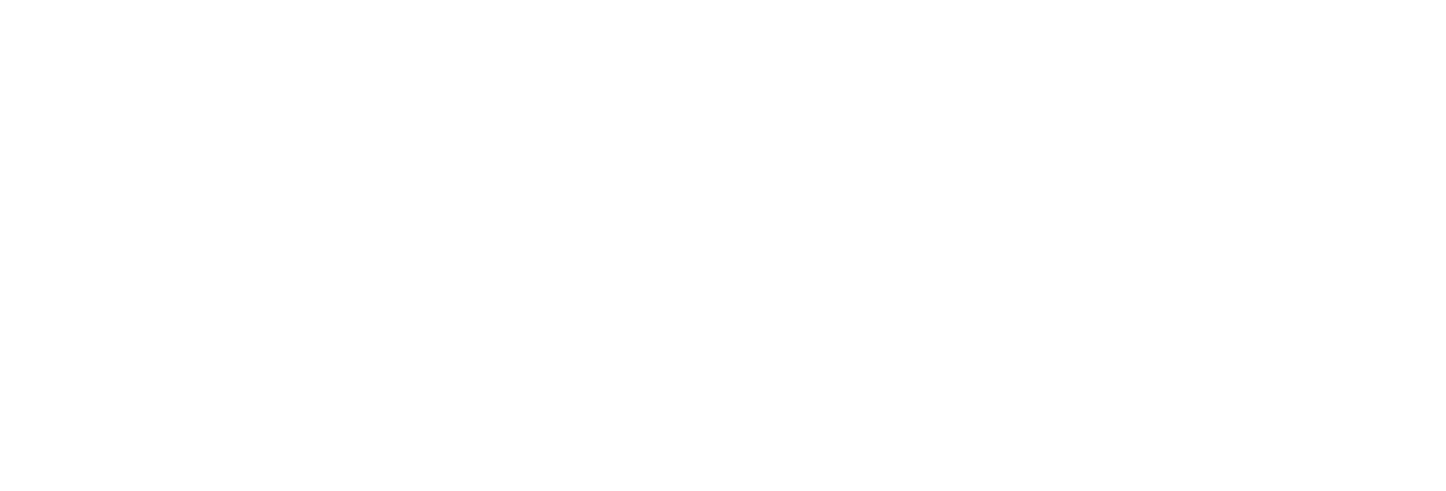 Regal Shine Solutions